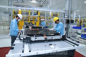 Hải Phòng phấn đấu 60% thanh niên dùng tên miền "id.vn" vào năm 2026 - Ảnh 1.