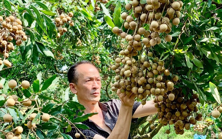 Xây dựng và phát triển nhãn hiệu tập thể cho sản phẩm làng nghề - Ảnh 1.