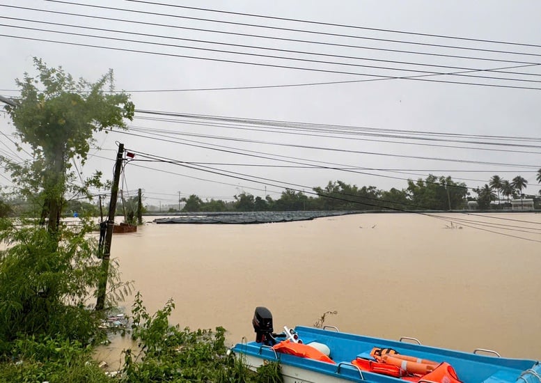 معاون نخست وزیر هو کوک دونگ: مردم را فوراً در همان روز تخلیه کنید، مطلقاً هیچ تلفات انسانی وجود ندارد - عکس ۵. Phó Thủ tướng Hồ Quốc Dũng: Di dời dân ngay trong ngày, tuyệt đối không để xảy ra thiệt hại về người- Ảnh 5.