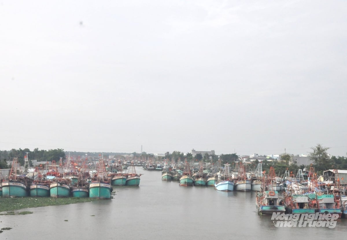 For å kunne forvalte fiskeflåtene og bekjempe UUU-fiske, identifiserte An Giang gjennom en gjennomgang 188 fiskefartøy i provinsen som savnet på grunn av utløpte lisenser eller ukjent status. Foto: Trung Chanh. Nhằm thực hiện công tác quản lý đội tàu khai thác, chống khai thác IUU, qua rà soát, An Giang xác định toàn tỉnh có 188 tàu cá thuộc diện mất tích, do hết hạn giấy phép hoặc không rõ hiện trạng. Ảnh: Trung Chánh.