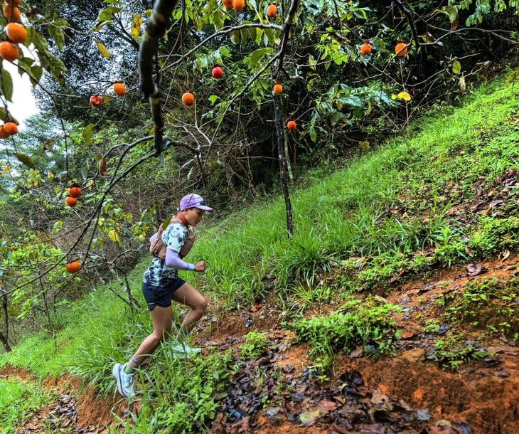 Hoãn giải chạy Vietnam Highlands Trail 2025 vì mưa lớn kéo dài- Ảnh 1.