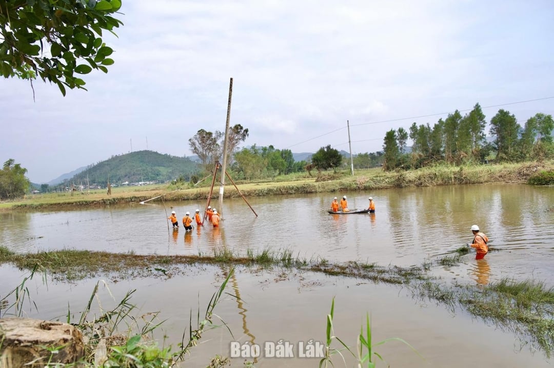 Industri kelistrikan pulihkan jaringan listrik yang terdampak badai No. 13