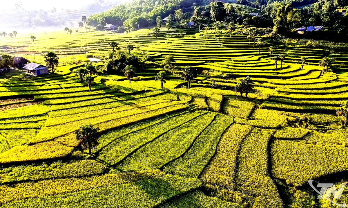 Mùa lúa chín ở các bản làng vùng cao trong tỉnh là tiềm năng, thế mạnh để Thái Nguyên khai thác phát triển du lịch sinh thái.