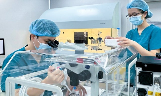 Vi nhựa xâm nhập nang trứng: Báo động mới với khả năng sinh sản nữ- Ảnh 2.