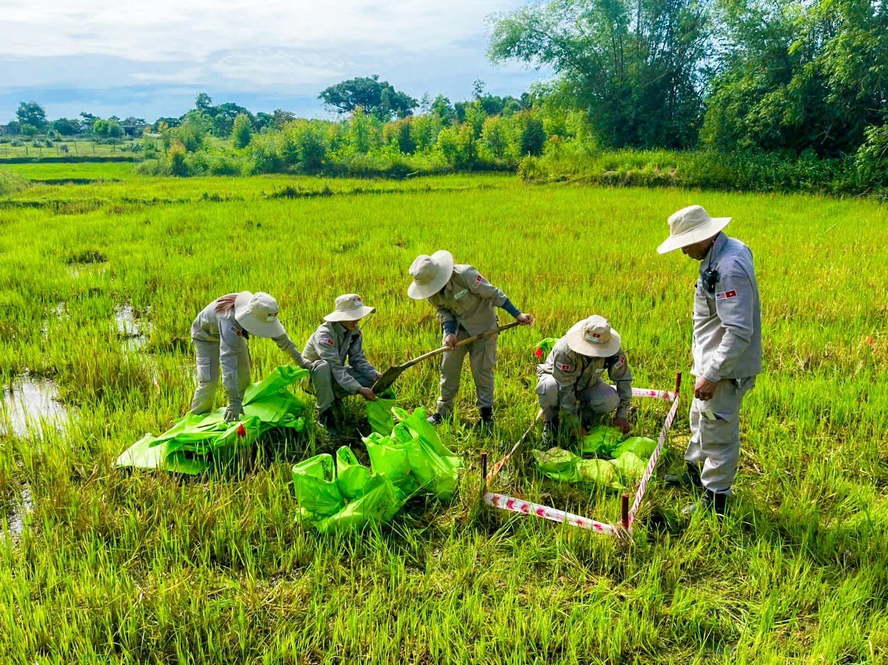 Bài 2: Những hạt giống hòa bình