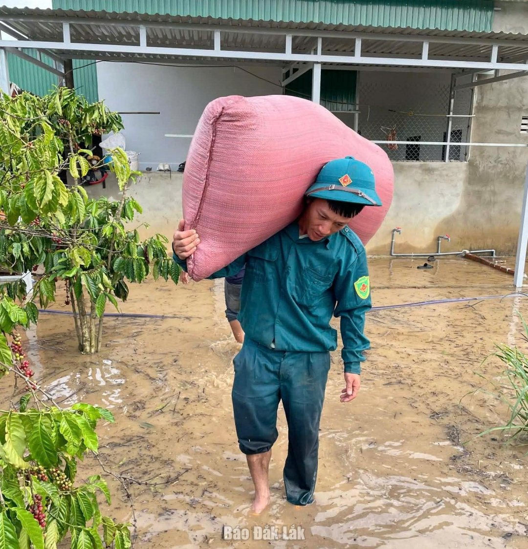 Myndigheterna i Vu Bon kommun stöder människor i att transportera ris till torra platser.