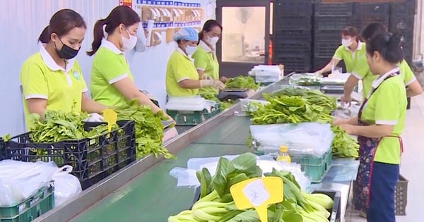 Nghị quyết 57: Xây nền cho hệ sinh thái công nghệ hợp tác