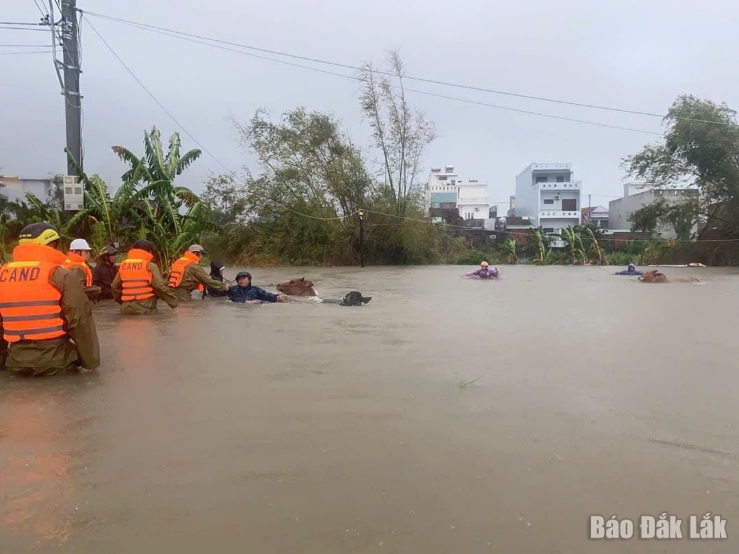 Công an phường Phú Yên hỗ trợ người dân cứu vật nuôi. Ảnh: Hồ Như
