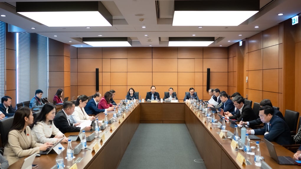 Høyesterettsjustitiarius: «Tomteprisene må være i samsvar med markedet, de vil bare gå opp, ikke ned» – 2