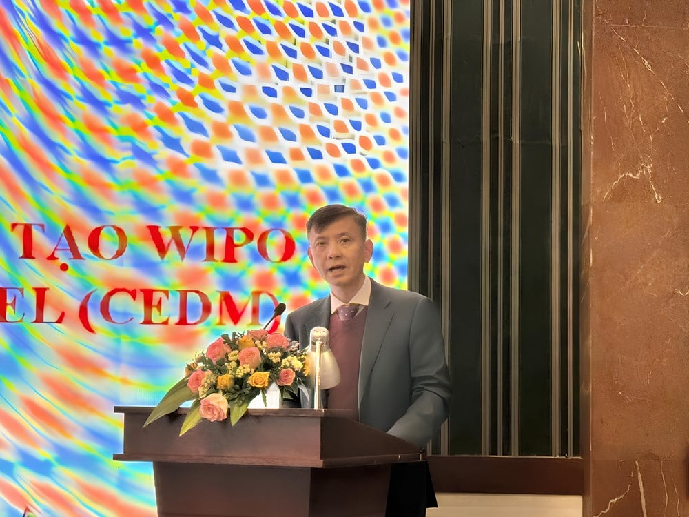 ស្រាវជ្រាវអំពីគំរូទិន្នន័យសេដ្ឋកិច្ចច្នៃប្រឌិត WIPO ជំរុញការអភិវឌ្ឍន៍ឧស្សាហកម្មវប្បធម៌នៅវៀតណាម - រូបថត ១