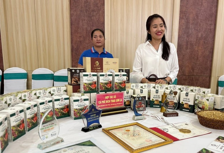 Tương lai cho cà phê chất lượng cao sau tái canh- Ảnh 2.