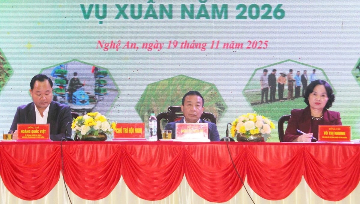 Vụ xuân 2026 đề ra nhiều chỉ tiêu quan trọng cho ngành nông nghiệp Nghệ An. Ảnh: Việt Khánh.