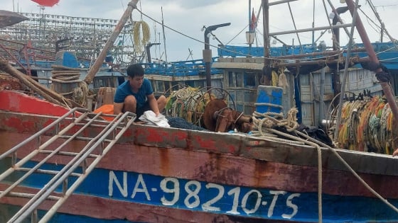 Chặn đứng IUU, Nghệ An hướng tới nghề cá bền vững