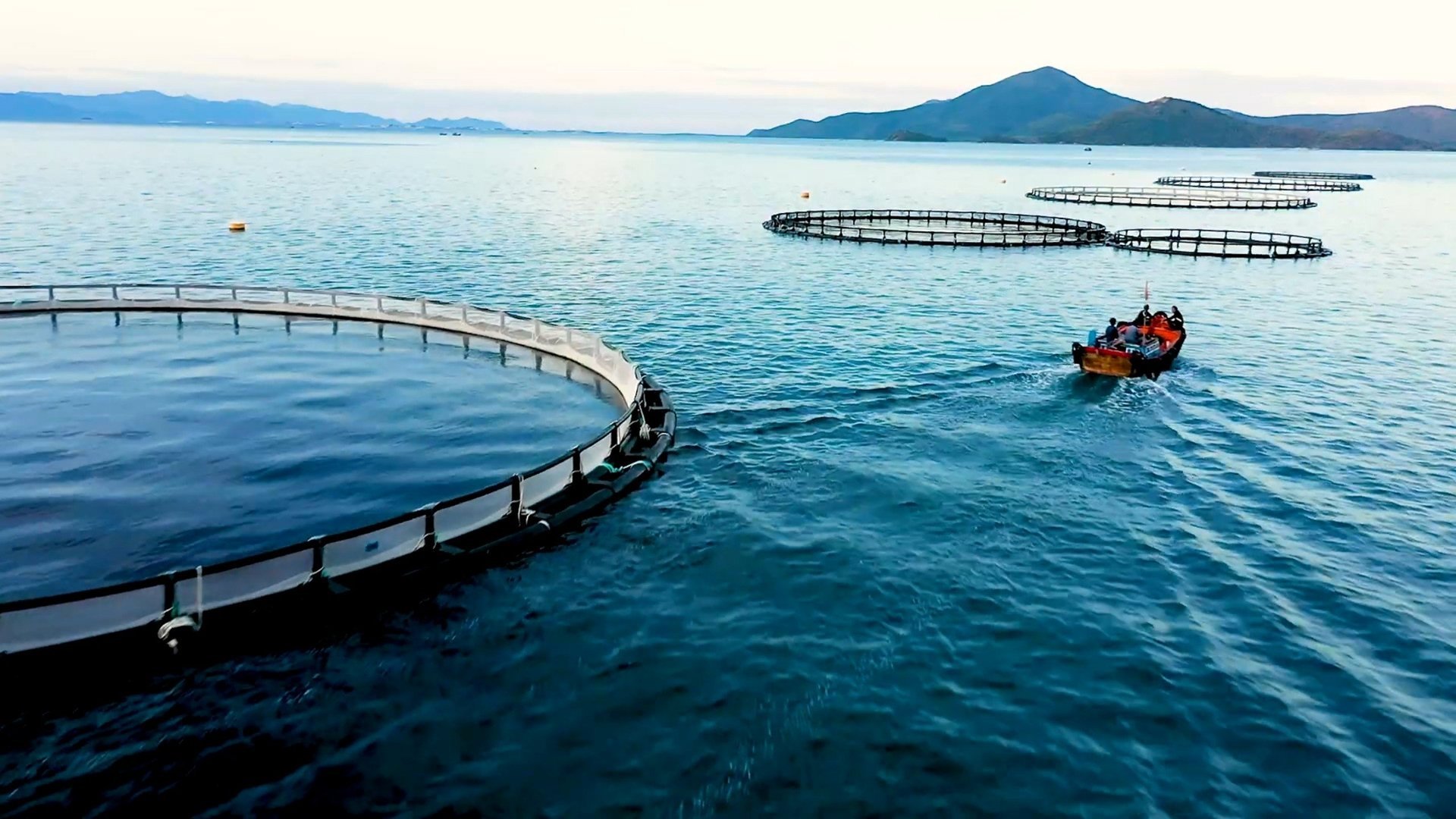 Việt Nam là quốc gia có tiềm năng rất lớn để phát triển nuôi trồng thủy sản trên biển. Ảnh: Duy Học.