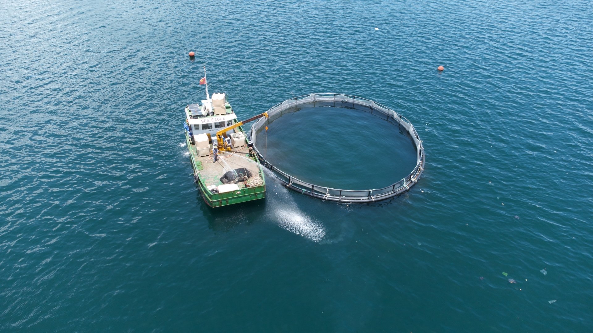 Một trong những mục tiêu trọng tâm đến năm 2030 là đưa nuôi biển trở thành ngành sản xuất hàng hóa quy mô lớn, vận hành theo hướng công nghiệp, ứng dụng công nghệ tiên tiến và thân thiện với môi trường. Ảnh: Hồng Thắm.