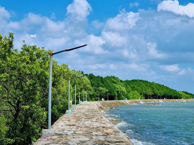 - عکس ۱۰. - Ảnh 10.