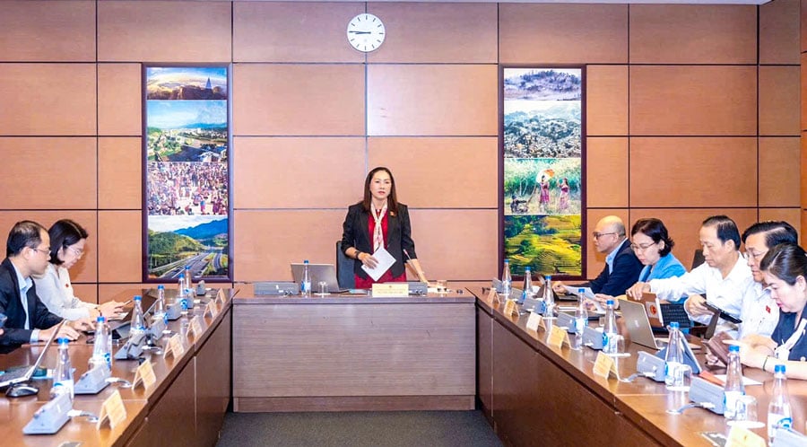 Die stellvertretende Leiterin der Delegation der Nationalversammlung der Provinz Vinh Long, Nguyen Thi Yen Nhi, nahm an der Diskussion teil.