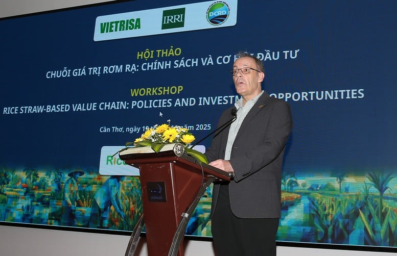 Rơm rạ: 'Mỏ sinh khối' mới của vùng Mekong- Ảnh 2.