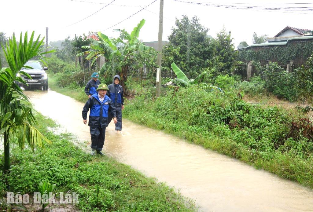 Chairman of Ea O Commune People's Committee Nguyen Thanh Binh inspected the flooding situation in the commune.