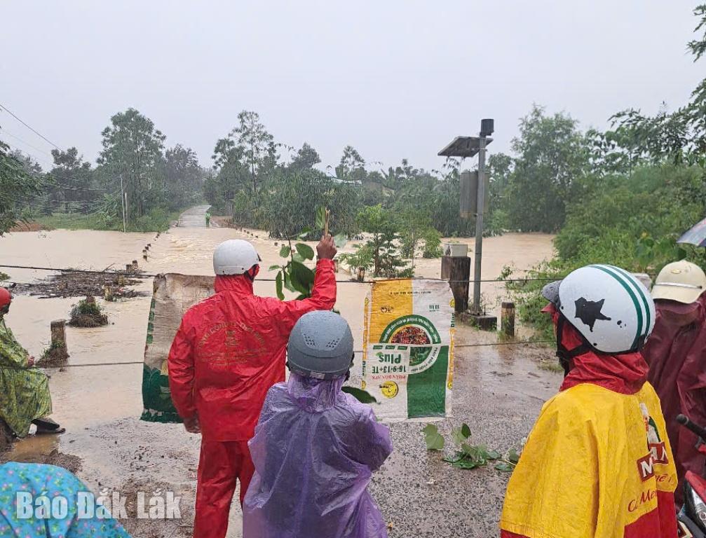 People in Ea Rot hamlet, Ea O commune, hung ropes and planted tree branches to warn that the roads were flooded and impassable.