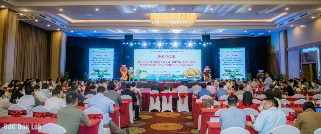 Các đại biểu tham dự hội nghị.