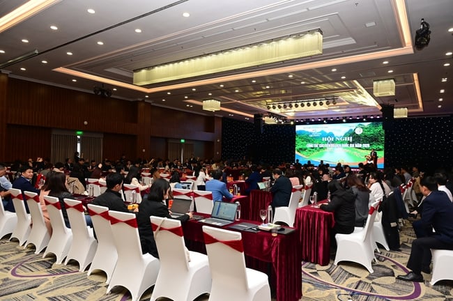 Khai mạc Hội nghị về công tác xúc tiến du lịch quốc gia năm 2026 - Ảnh 2.