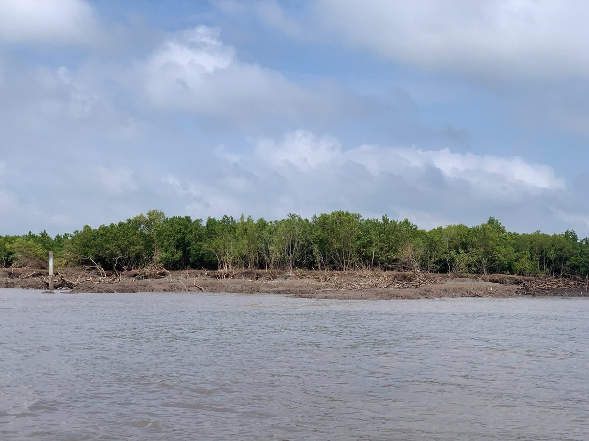 Từ năm 2011 đến nay, tỉnh Cà Mau mất hơn 6.200 ha đất và rừng phòng hộ ven biển. Ảnh: Trọng Linh.