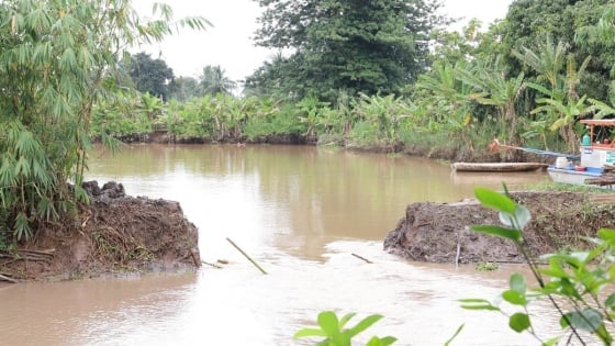 Đề phòng ngập úng do triều cường trong vài ngày tới