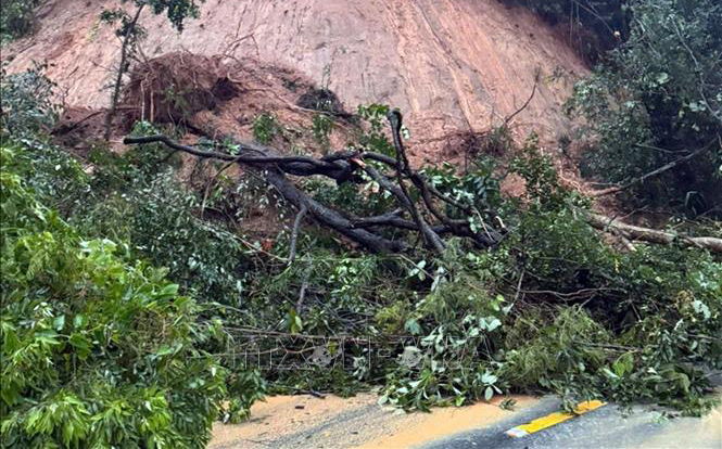 Khánh Hòa và Lâm Đồng phối hợp chốt chặn, đảm bảo an toàn trên đèo Sông Pha