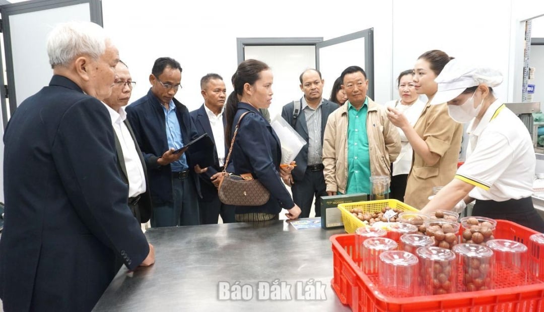 Delegationen besökte och arbetade på Nutrisoil Import Export Joint Stock Company.