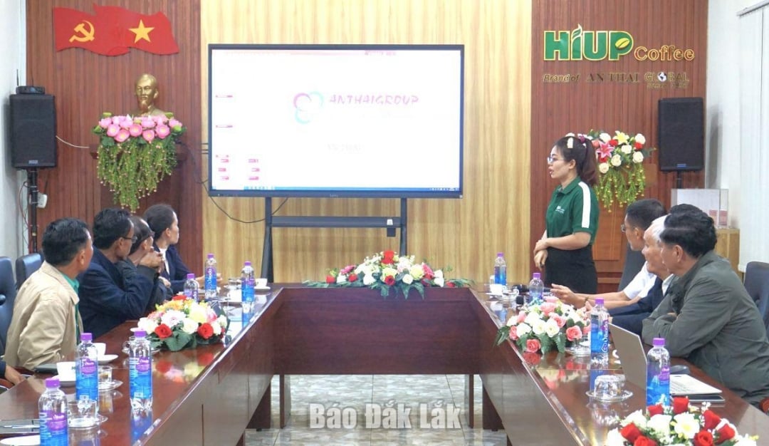 Delegationen besökte och arbetade på Nutrisoil Import-Export Joint Stock Company; Dak Lak 2-9 Import-Export Company Limited och An Thai Investment and Development Joint Stock Company.