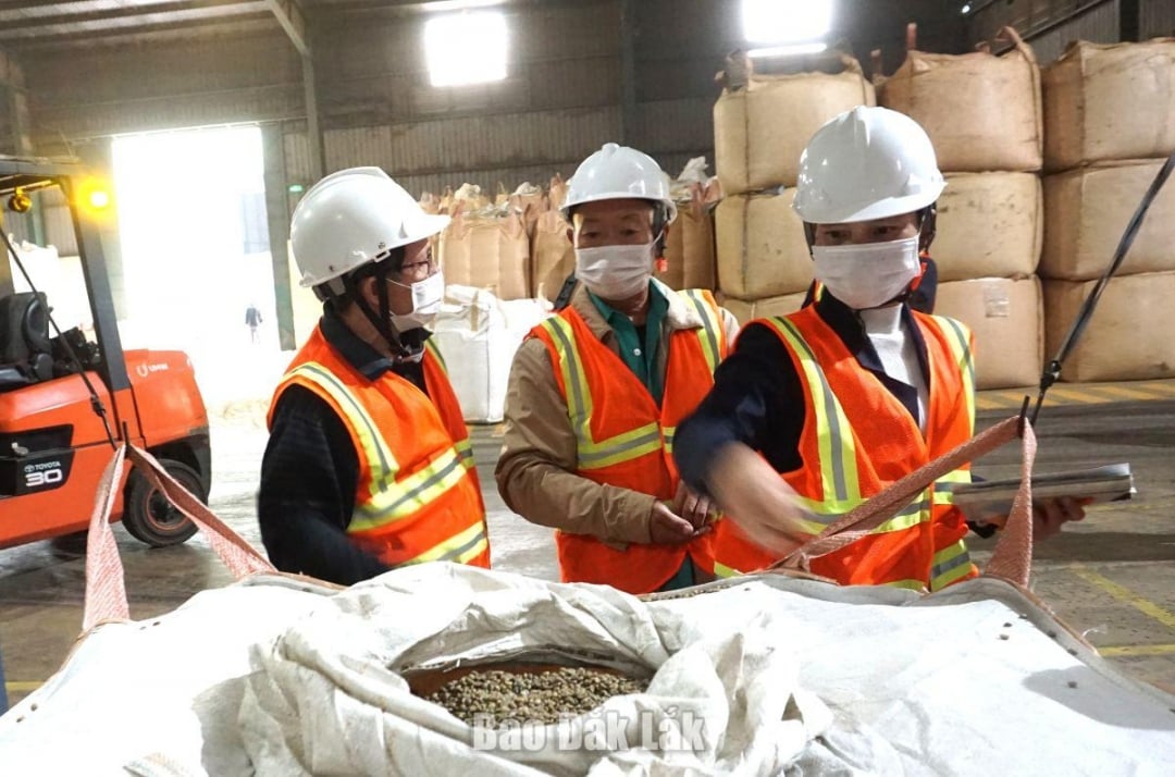 från Attapeu-provinsens handels- och industriförening. Delegationen besökte och arbetade på Nutrisoil Import-Export Joint Stock Company, Dak Lak 2-9 Import-Export Company Limited och An Thai Investment and Development Joint Stock Company.