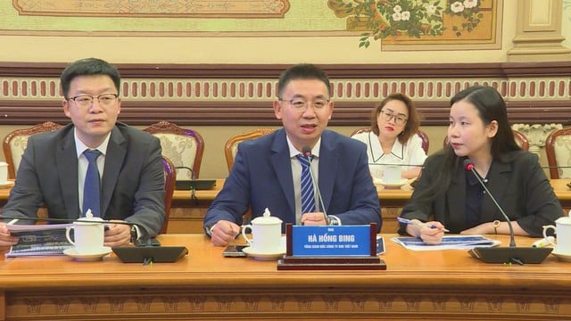 BOE mở rộng đầu tư 300 triệu USD, TP. Hồ Chí Minh cam kết hỗ trợ tối đa - Ảnh 2.