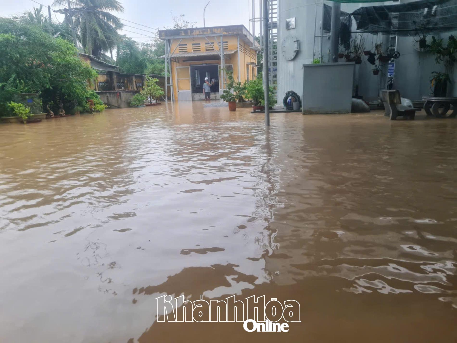 닌호아 구, 닌동 급수소 지역은 11월 19일에 침수되었습니다.