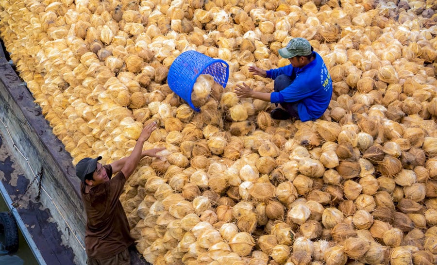 Sản phẩm dừa chế biến của Việt Nam vẫn được đánh giá cao về chất lượng và uy tín (Ảnh minh họa: TRẦN THANH SANG).