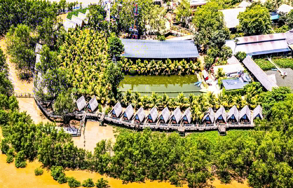 Nhu cầu tiêu thụ dừa tại các thị trường lớn như Trung Quốc, Hàn Quốc, Trung Đông vẫn duy trì mức cao; không có quốc gia nào công bố hạn chế nhập khẩu dừa Việt Nam (Ảnh minh họa: TRẦN THANH SANG).