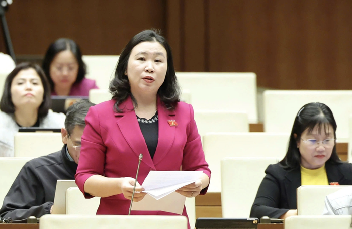 Đại biểu Quốc hội đề xuất miễn giảm thuế thu nhập cá nhân với vợ chồng sinh đủ hai con- Ảnh 1.