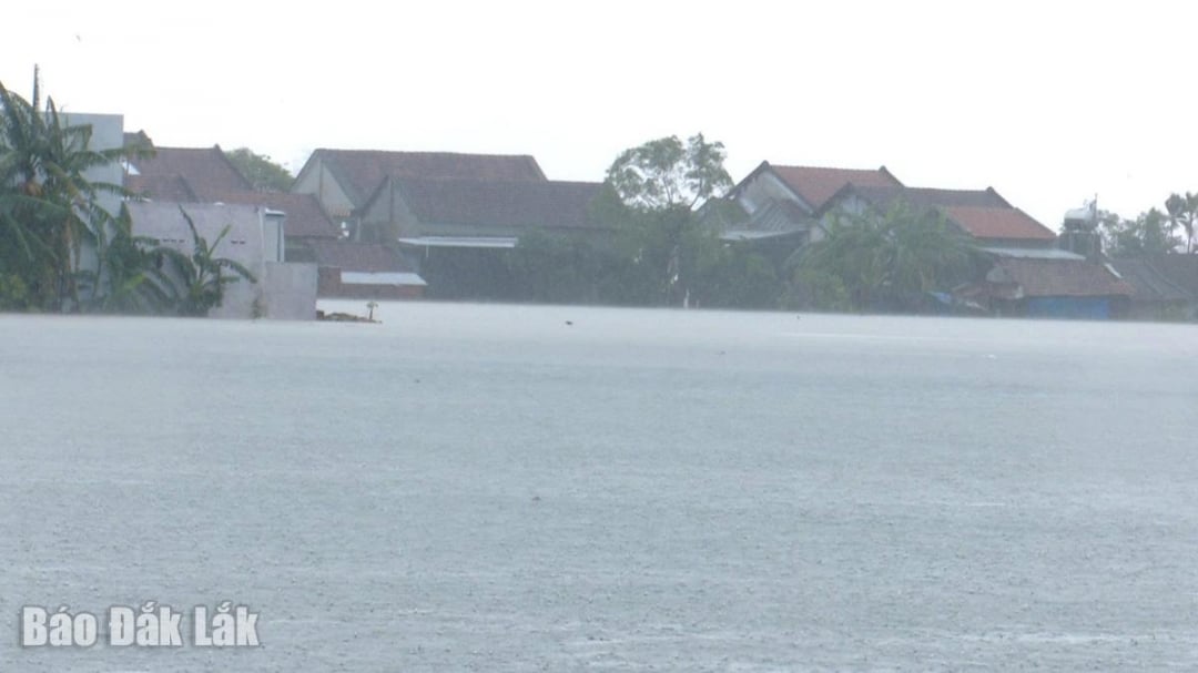 Des milliers de maisons des habitants de la commune de Hoa My ont été submergées par les eaux.