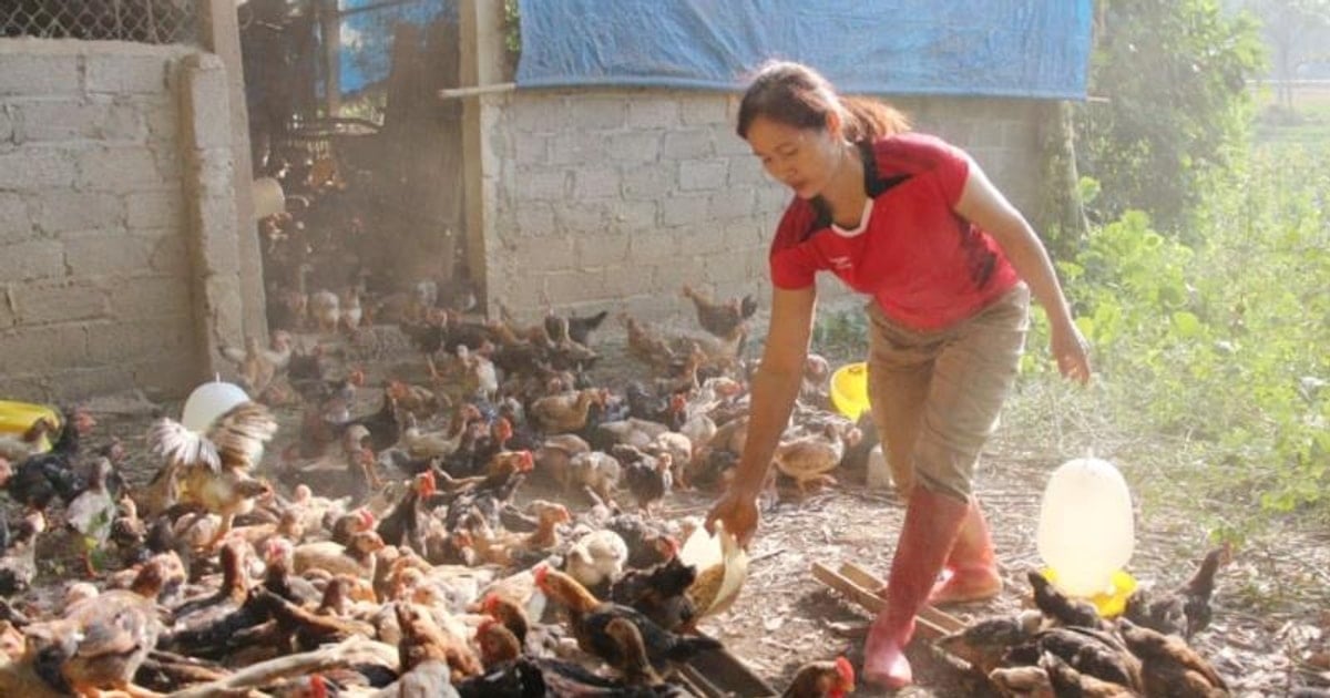 Để đồng bào dân tộc thiểu số vươn lên nhờ nghề mới