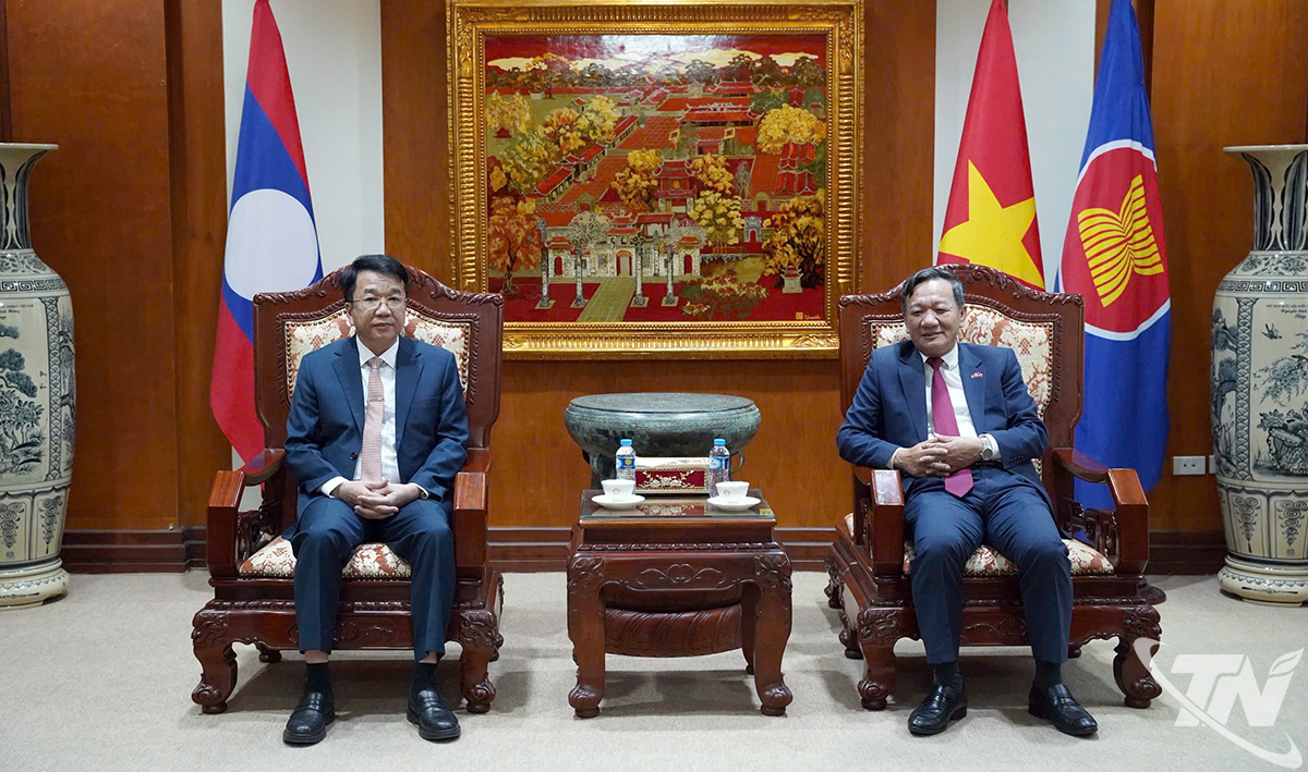 חבר נגוין טאן בין, סגן מזכיר ועדת המפלגה המחוזית, סגן יו