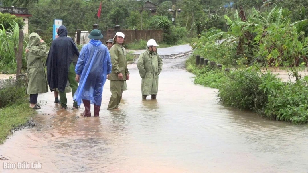 Lãnh đạo xã Krông Búk kiểm tra