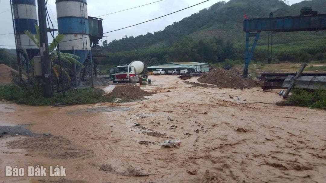 Nhà điều hành Dự án Cao tốc