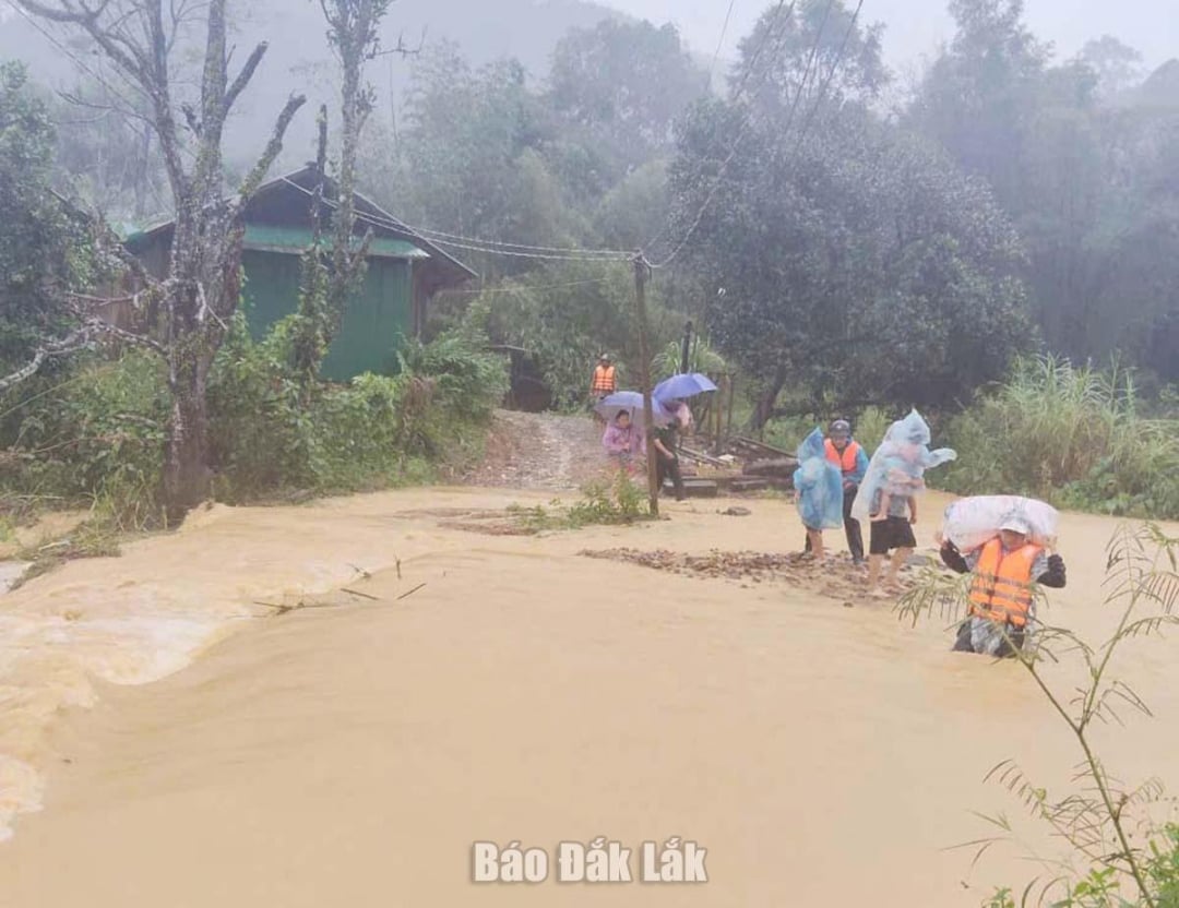 कू म्टा कम्यून के अधिकारी बाढ़ के दुष्परिणामों से निपटने में लोगों की मदद करते हुए। फोटो: दुय तिएन