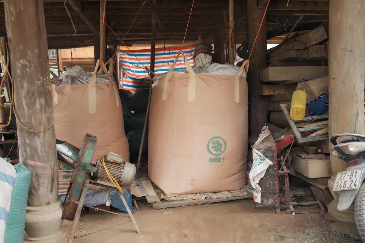 Những bao tải ủ cỏ do dự án ASSET tài trợ cho các hộ tham gia. Ảnh: Linh Linh.