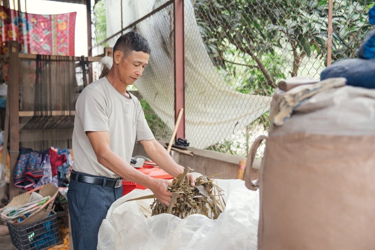 Ông Lò Văn Mưu cho biết, không có họp hành, không có tổ nhóm chính thức, mọi thứ lan truyền bằng cách 'nhìn thấy người khác làm được thì mình làm theo'. Ảnh: Linh Linh.
