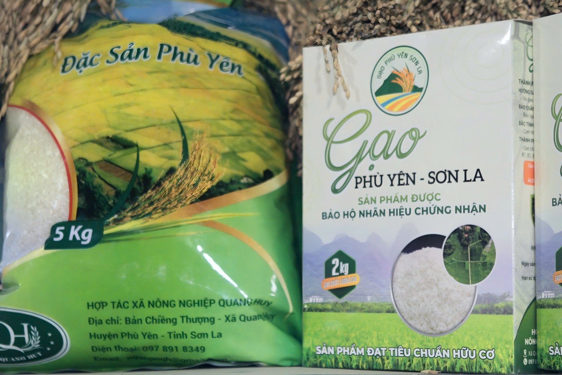 Sản phẩm gạo Phù Yên của Hợp tác xã Dịch vụ Nông nghiệp Quang Huy đạt tiêu chuẩn hữu cơ, được bảo hộ nhãn hiệu chứng nhận. Ảnh: Nguyễn Nga.