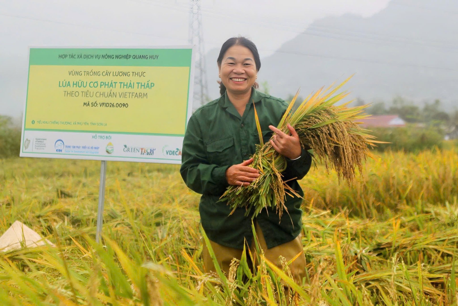 Nụ cười của nữ Giám đốc Hợp tác xã Cầm Thị Ngân giữa mùa vàng Mường Tấc. Ảnh: Nguyễn Nga.