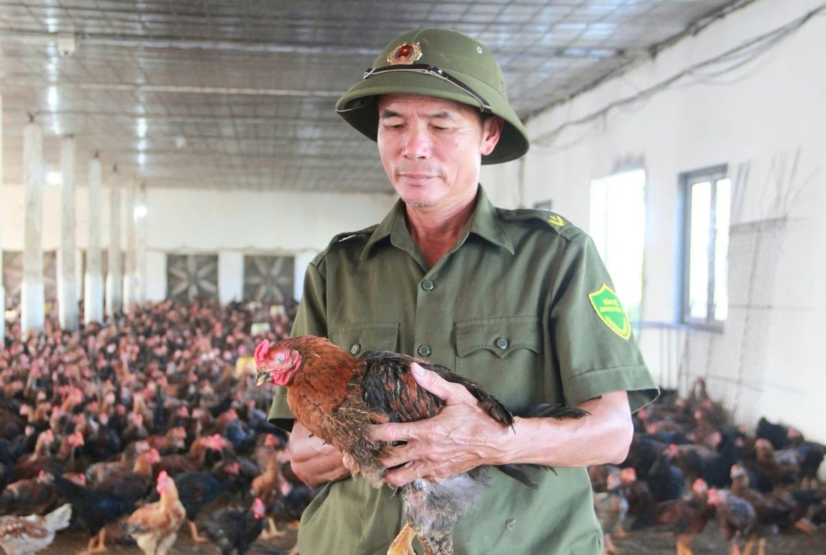 Ông Đặng Quốc Thai cho biết, nhiều hộ trong Hợp tác xã đã thoát nghèo, xây nhà mới, đời sống thay đổi tích cực. Ảnh: Hoàng Phong.