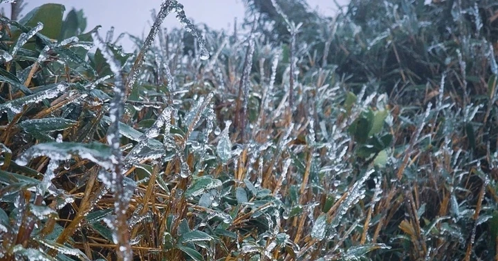 Đỉnh núi cao ở Lào Cai, Lai Châu xuất hiện băng giá