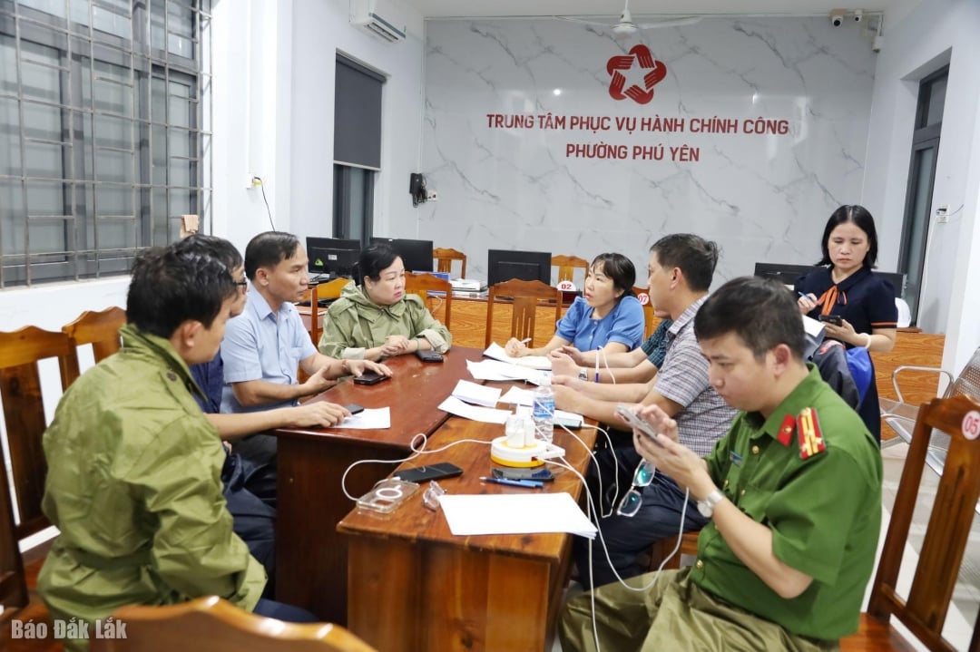 សមមិត្ត Cao Thi Hoa An